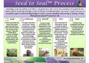 seed-to-seal